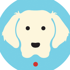 Team Page: Pack Pet Resort